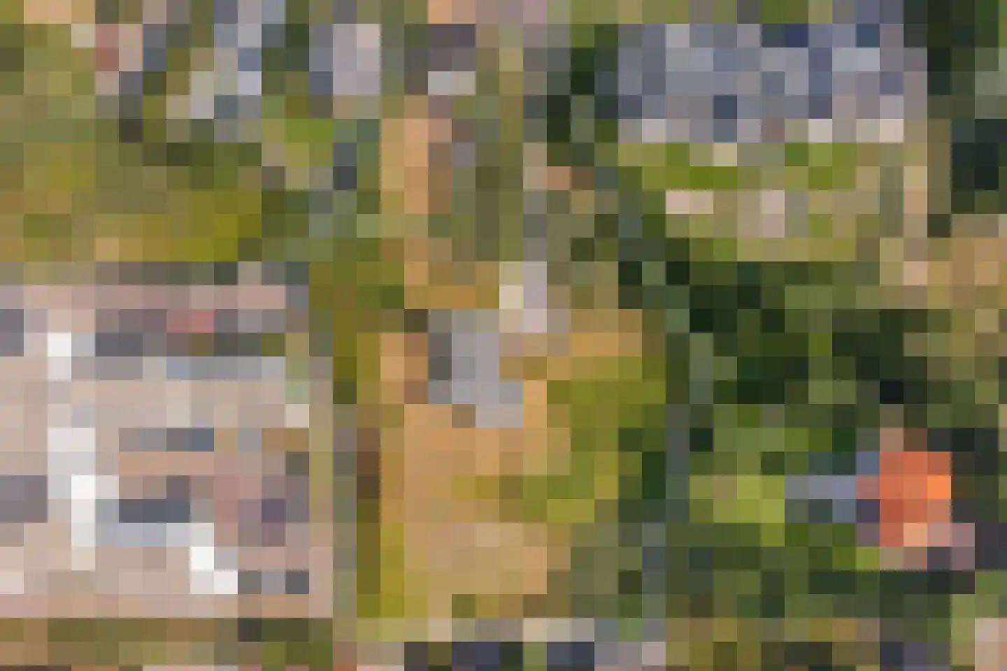 Rembrandtweg 8 A Noordwijk thumbnail 7