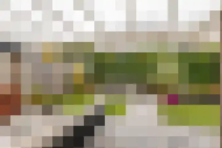 Remigiusstraat 17 Beek thumbnail 30