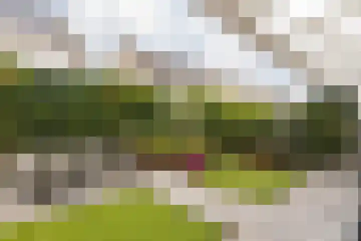 Remigiusstraat 17 Beek thumbnail 32
