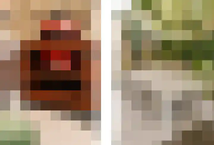 Remigiusstraat 17 Beek thumbnail 34