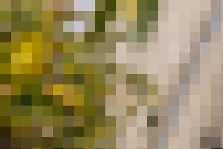 Remigiusstraat 17 Beek thumbnail 8