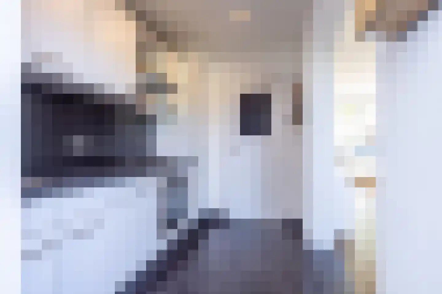 Remigiusstraat 4 Beek thumbnail 15
