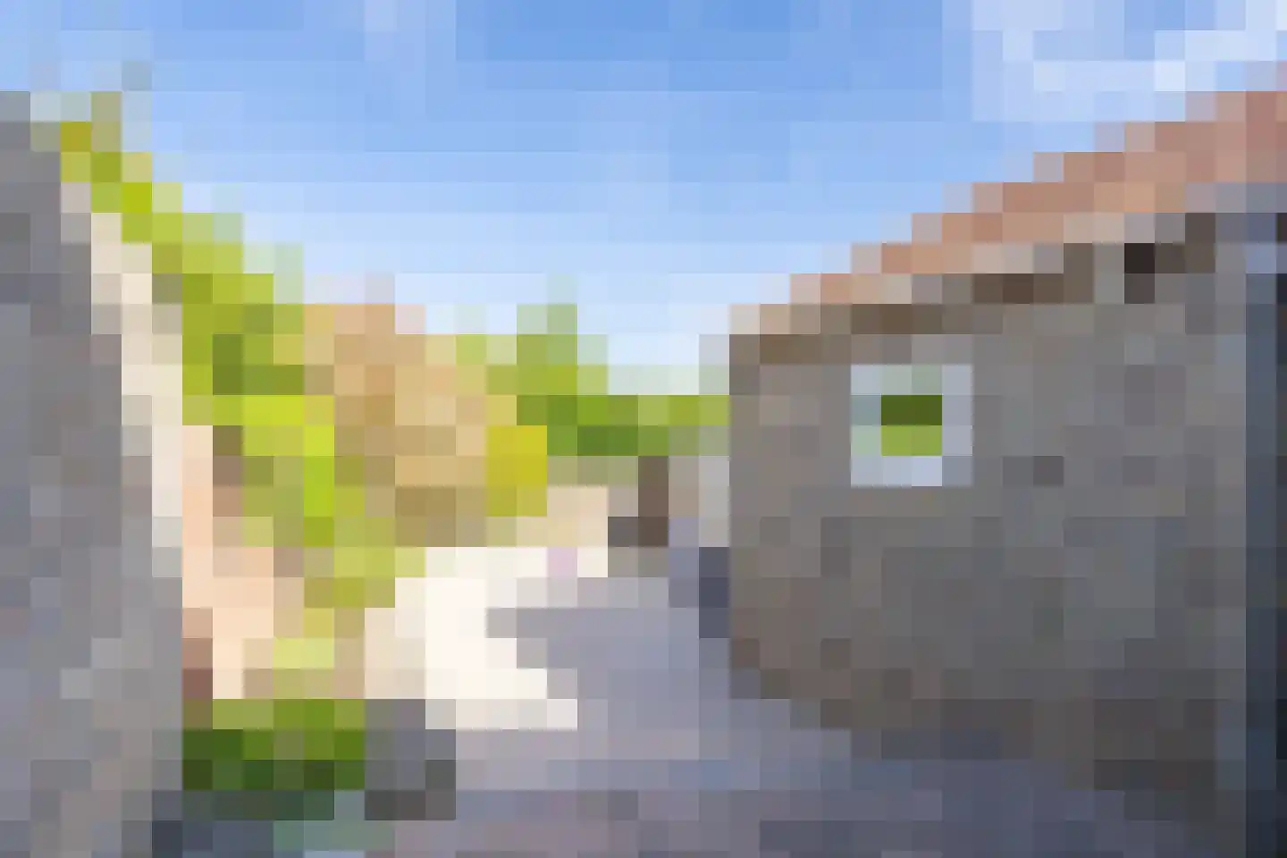 Remigiusstraat 4 Beek thumbnail 28