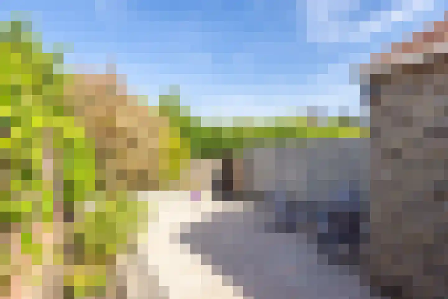 Remigiusstraat 4 Beek thumbnail 29