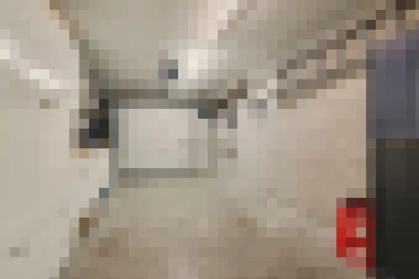 Remijsenhof 1 Alphen thumbnail 12
