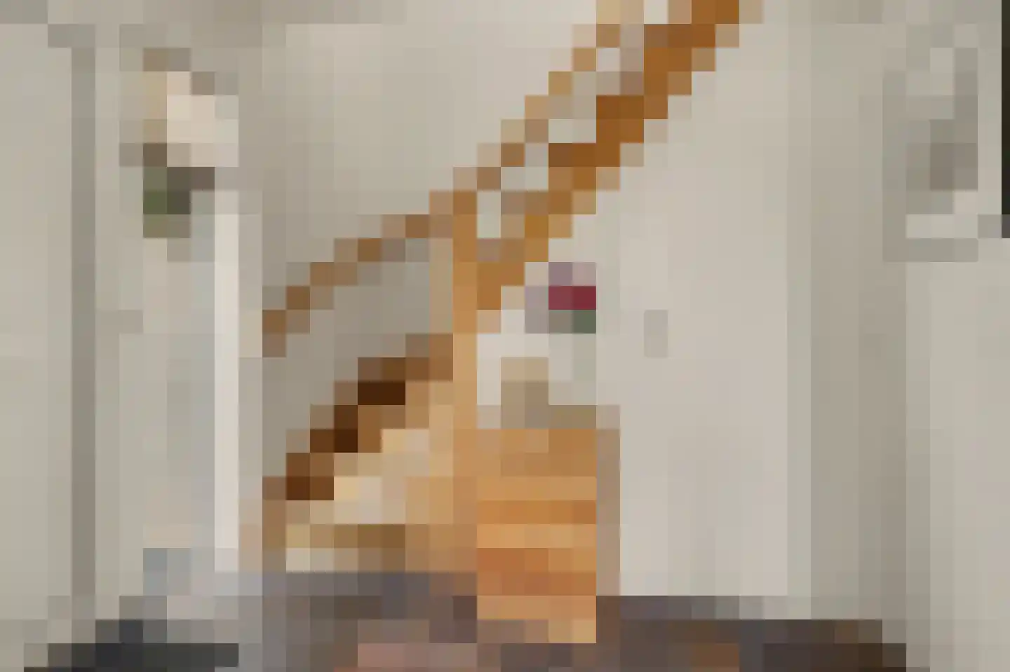 Remijsenhof 1 Alphen thumbnail 14