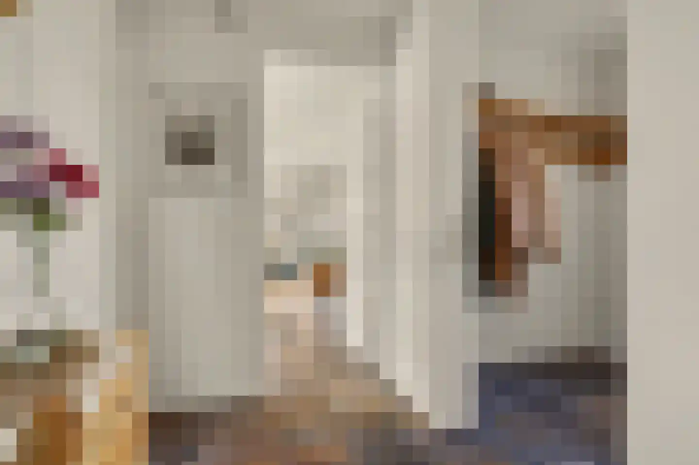 Remijsenhof 1 Alphen thumbnail 15