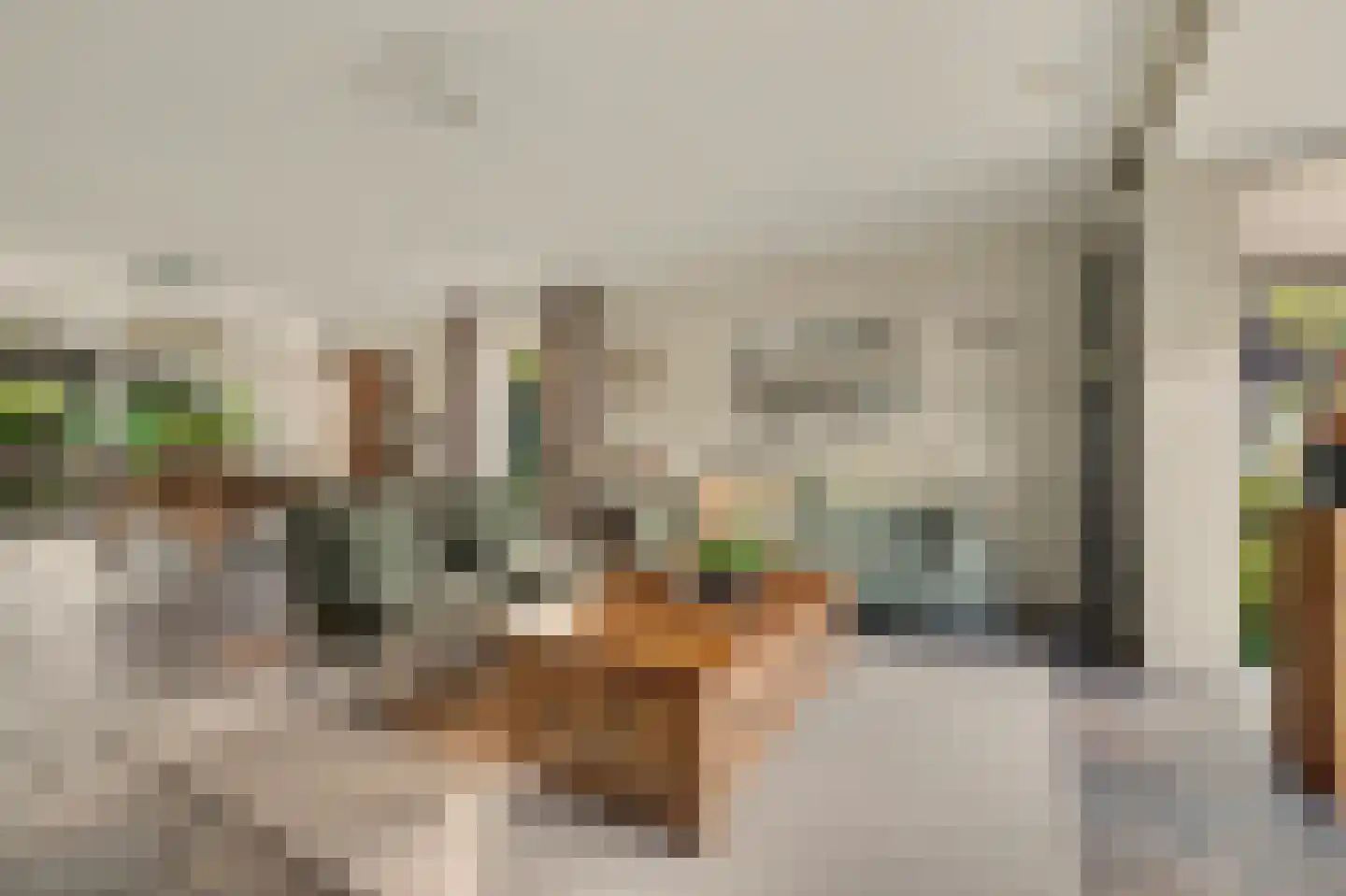 Remijsenhof 1 Alphen thumbnail 21