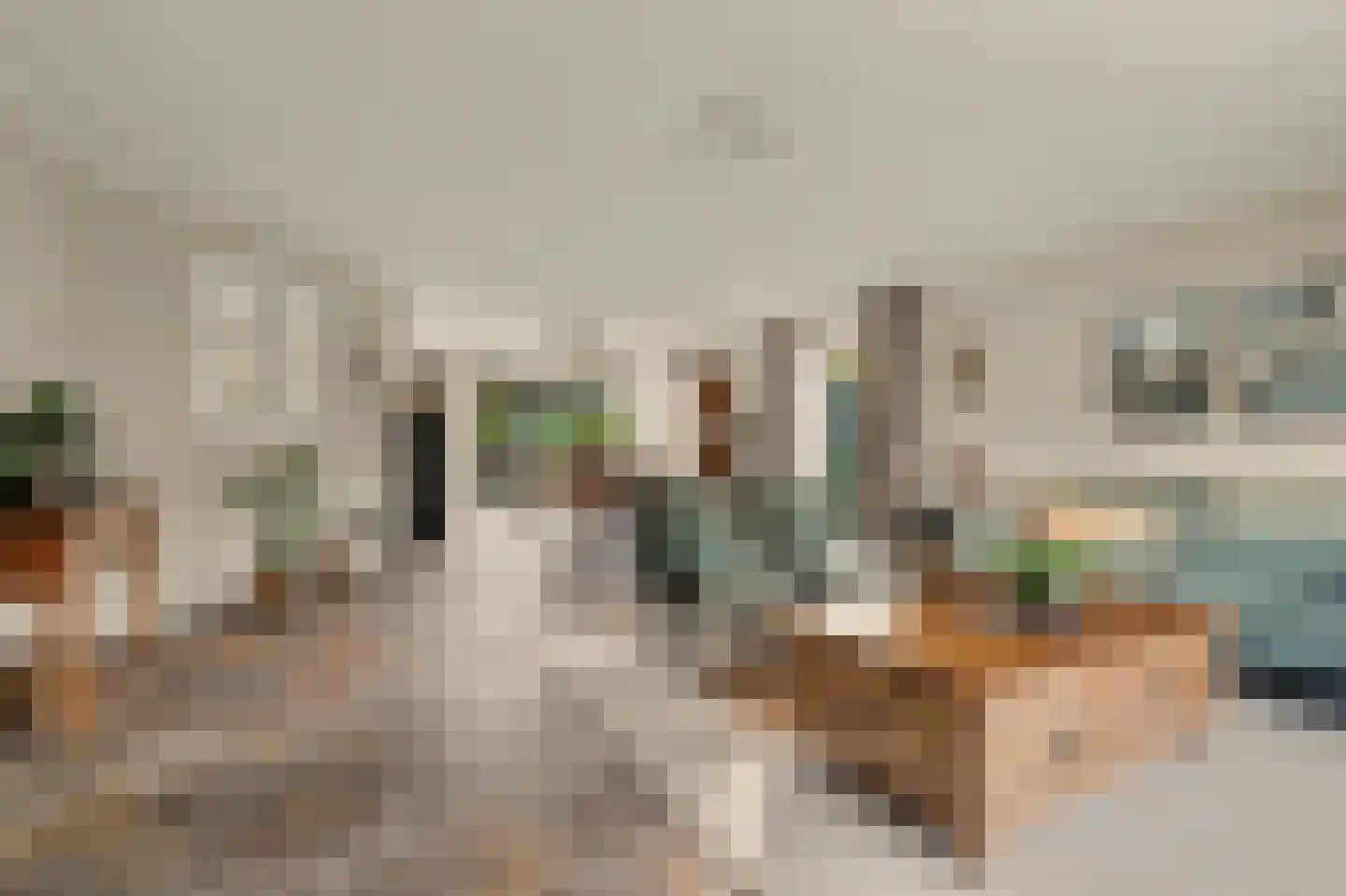 Remijsenhof 1 Alphen thumbnail 22