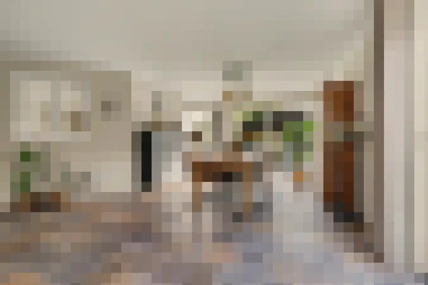 Remijsenhof 1 Alphen thumbnail 25