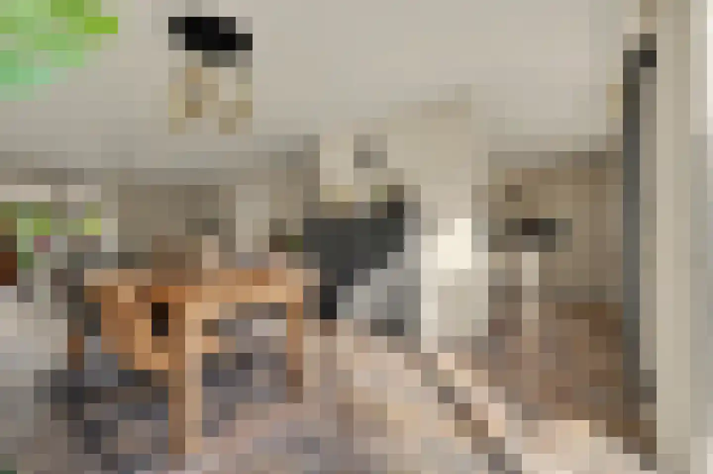 Remijsenhof 1 Alphen thumbnail 28