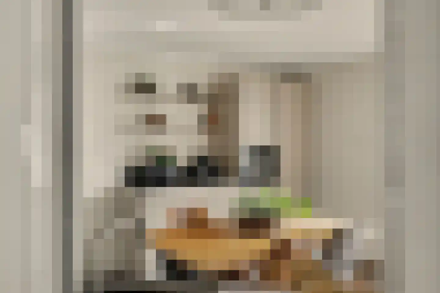 Remijsenhof 1 Alphen thumbnail 30