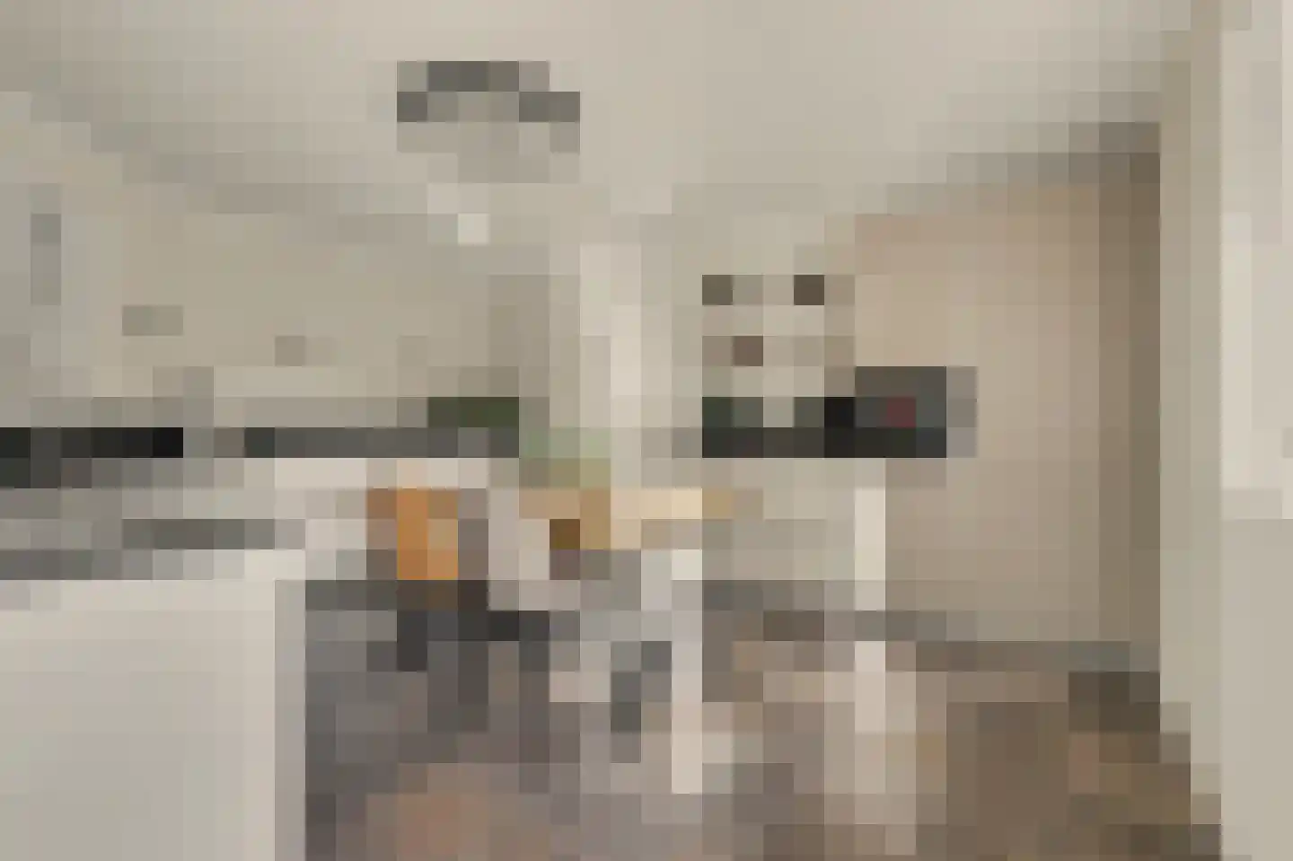 Remijsenhof 1 Alphen thumbnail 31