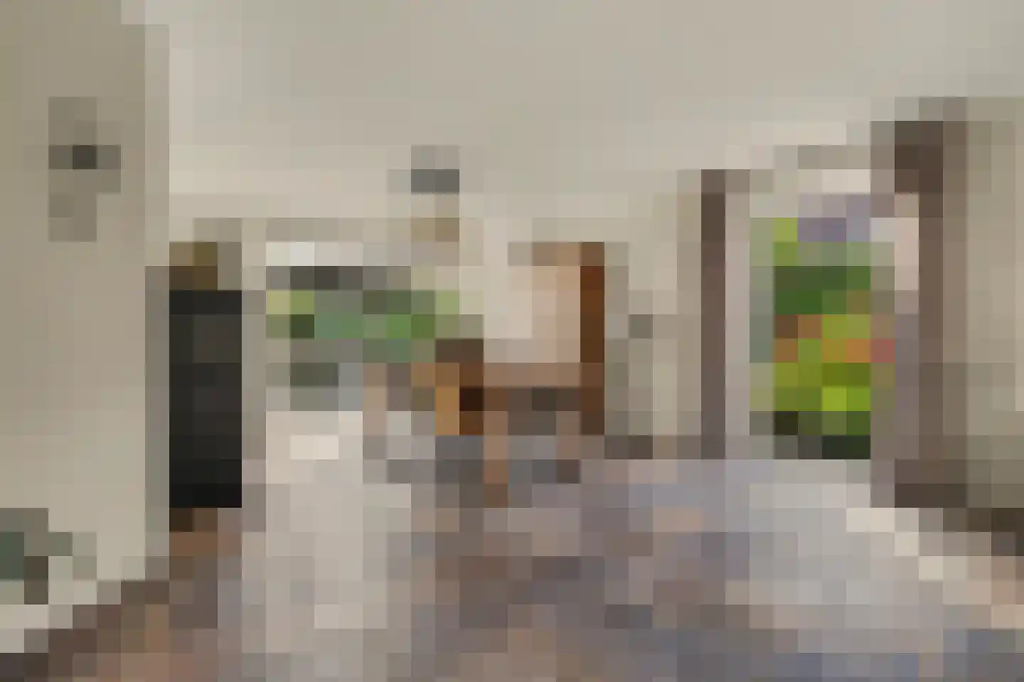 Remijsenhof 1 Alphen thumbnail 4