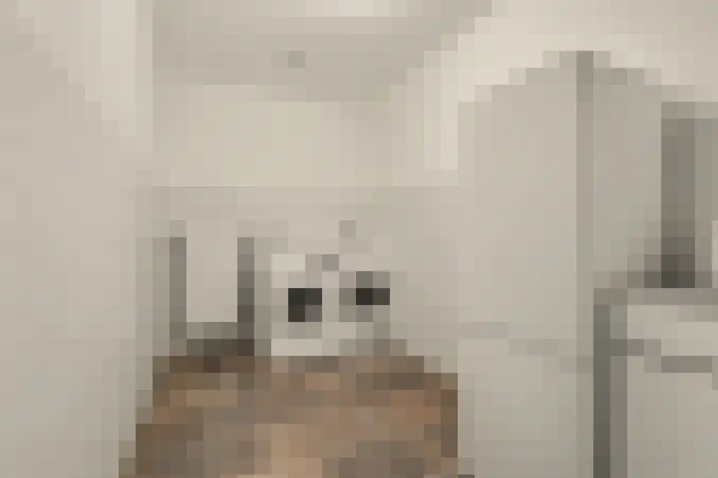 Remijsenhof 1 Alphen thumbnail 43