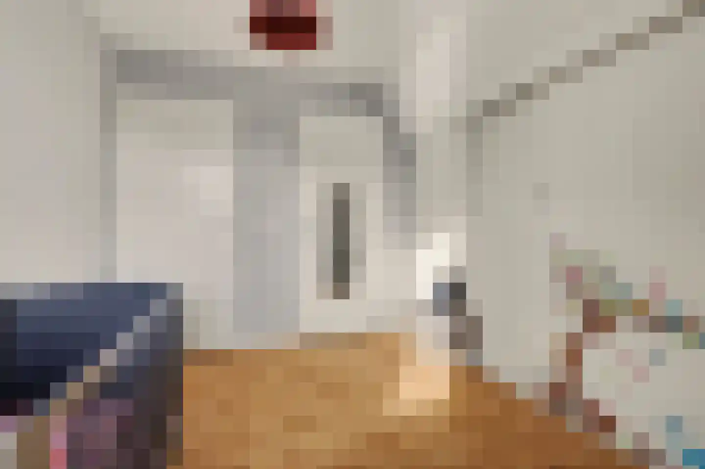 Remijsenhof 1 Alphen thumbnail 54