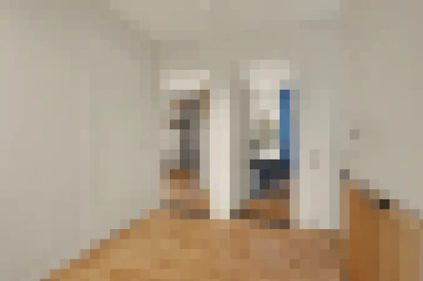 Remijsenhof 1 Alphen thumbnail 58