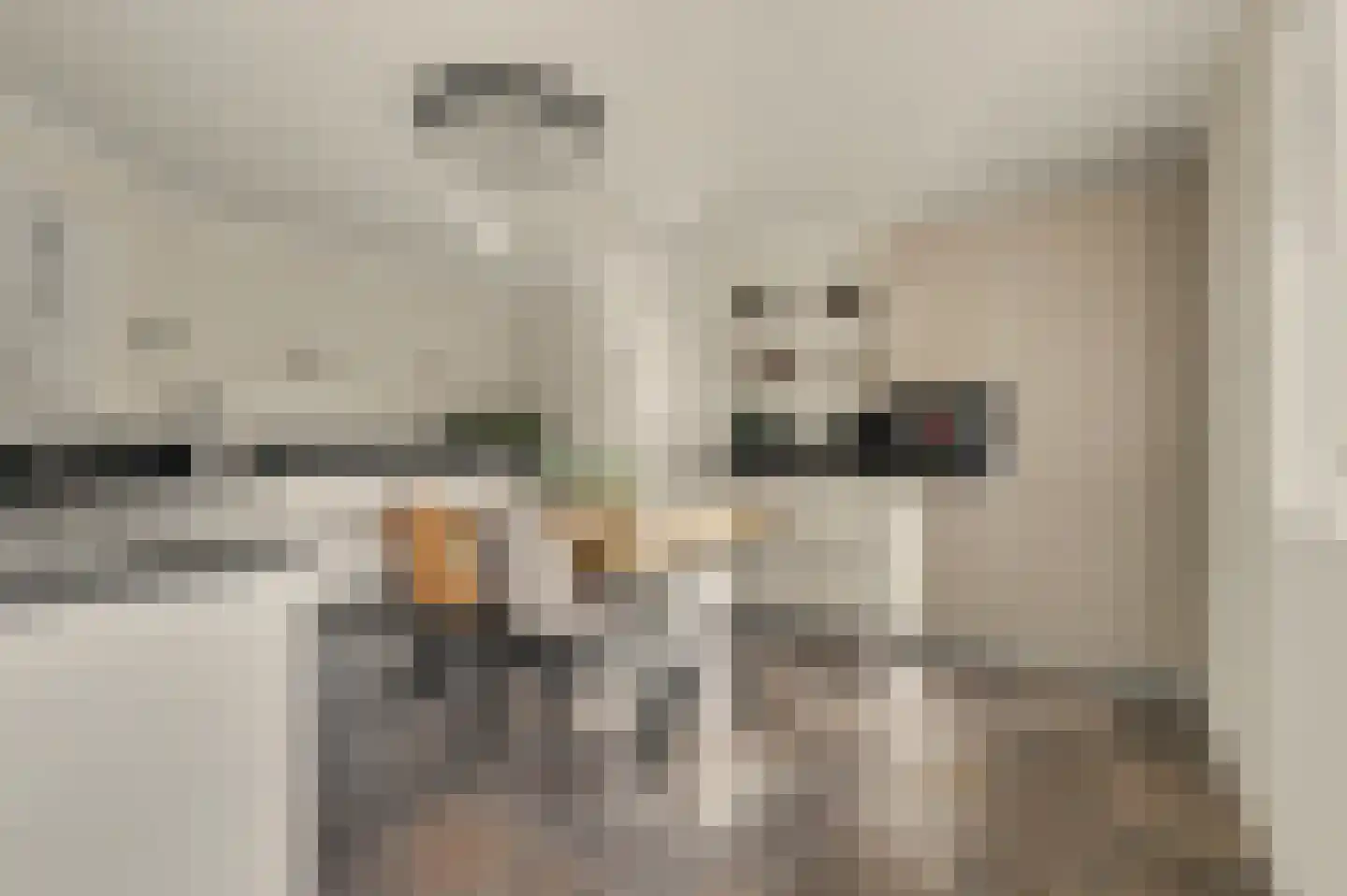 Remijsenhof 1 Alphen thumbnail 6