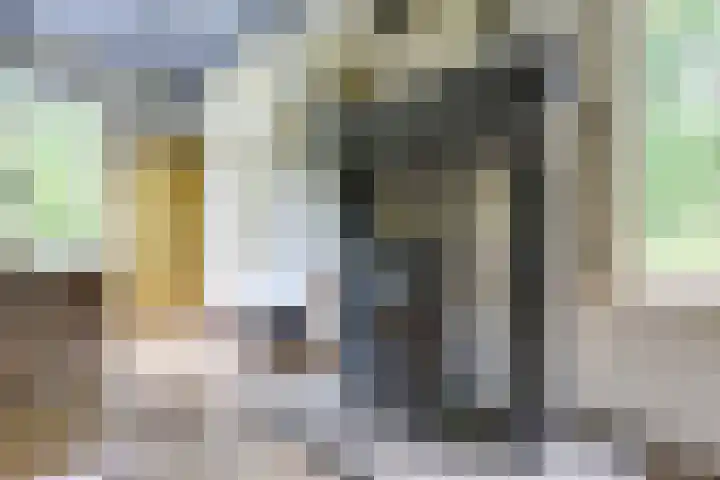 Remise 12 Doorn thumbnail 10