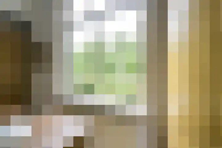Remise 12 Doorn thumbnail 12