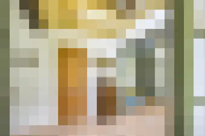 Remise 12 Doorn thumbnail 16