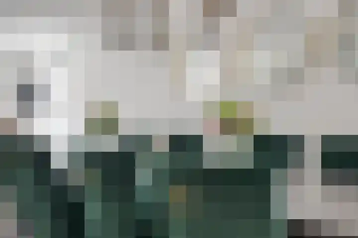 Remise 12 Doorn thumbnail 19