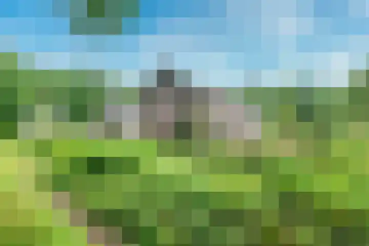 Remise 12 Doorn thumbnail 19