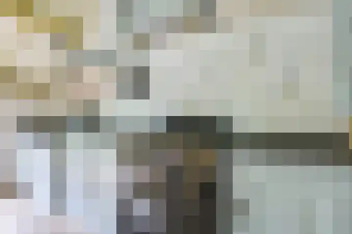 Remise 12 Doorn thumbnail 24