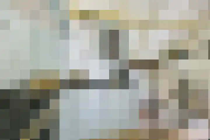 Remise 12 Doorn thumbnail 28
