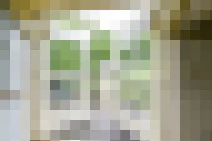 Remise 12 Doorn thumbnail 31