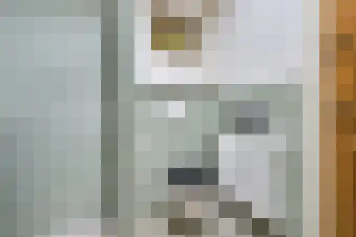Remise 12 Doorn thumbnail 36