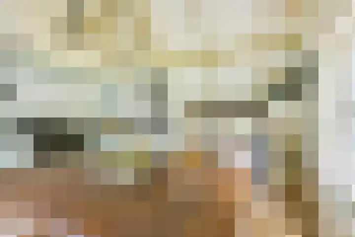 Remise 12 Doorn thumbnail 4