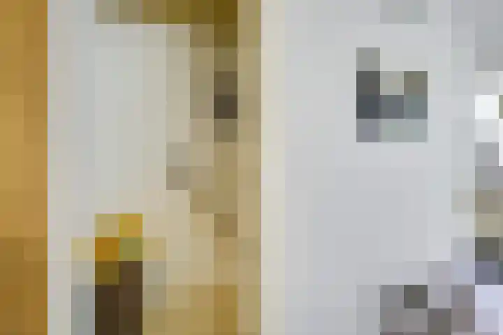 Remise 12 Doorn thumbnail 43