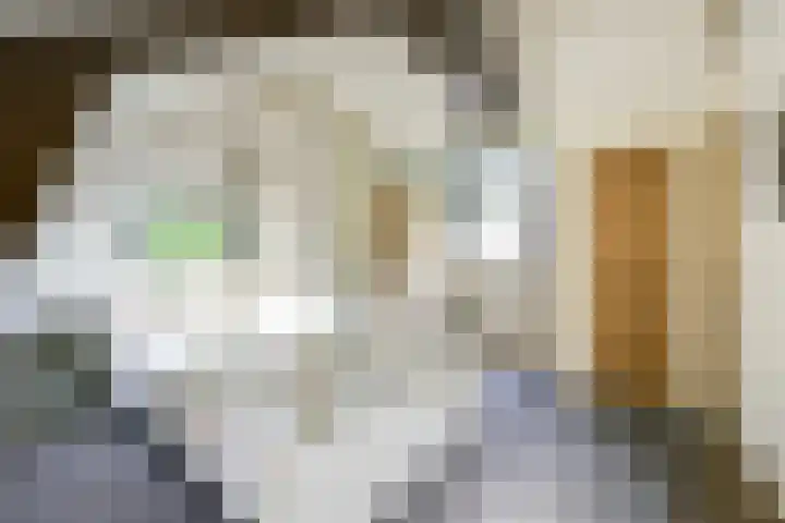 Remise 12 Doorn thumbnail 45