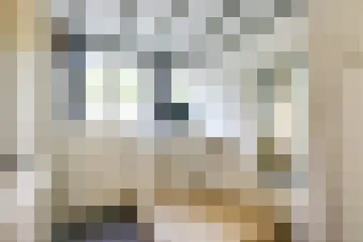 Remise 12 Doorn thumbnail 47