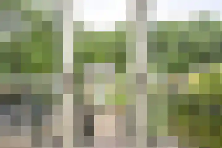 Remise 12 Doorn thumbnail 5