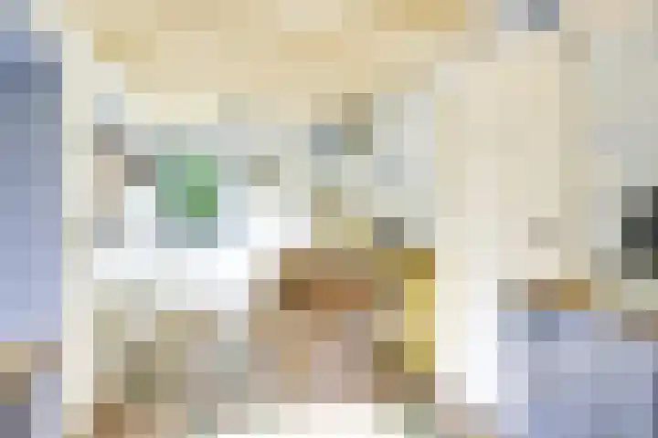 Remise 12 Doorn thumbnail 55