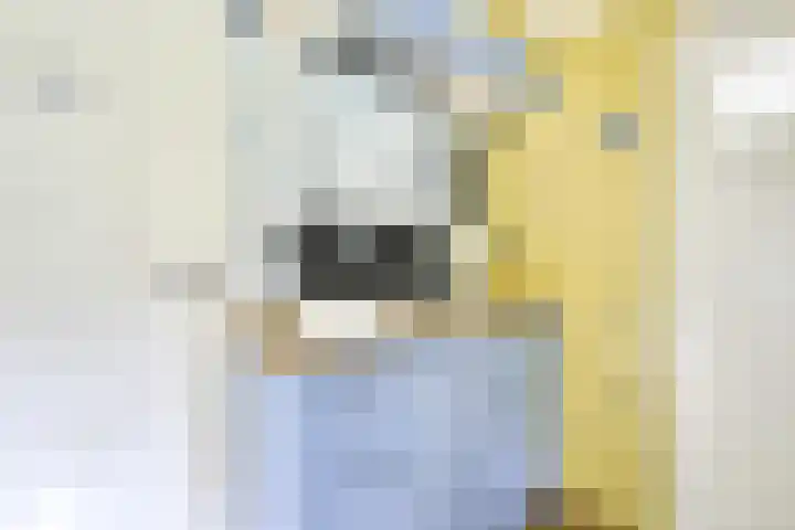 Remise 12 Doorn thumbnail 57