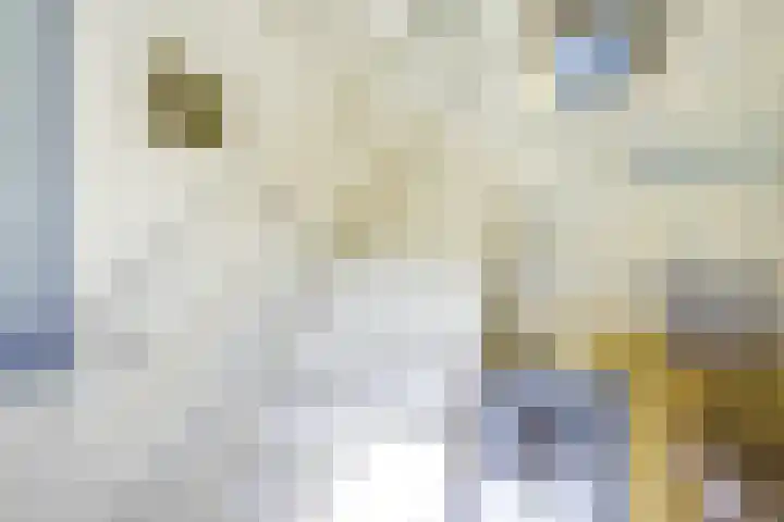 Remise 12 Doorn thumbnail 58
