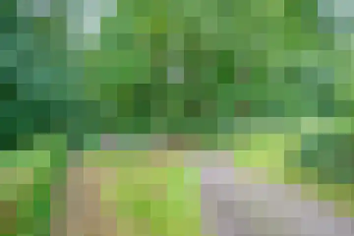 Remise 12 Doorn thumbnail 6