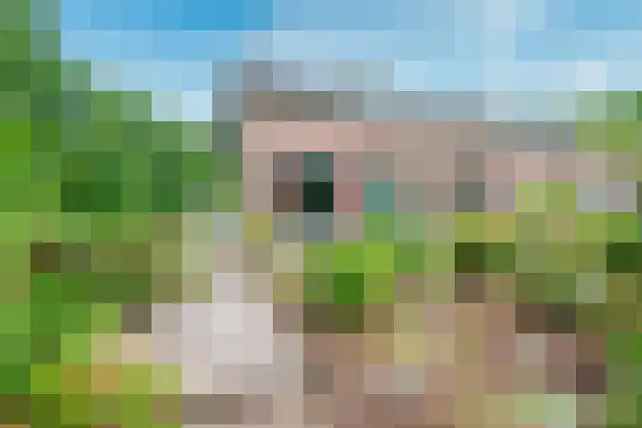 Remise 12 Doorn thumbnail 67