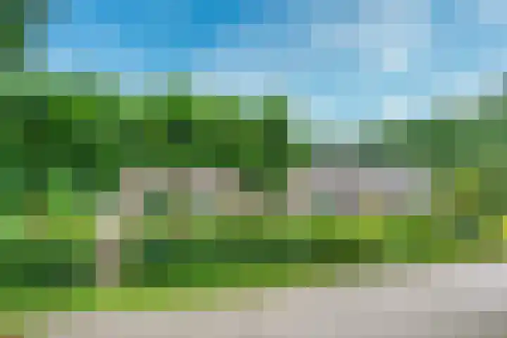 Remise 12 Doorn thumbnail 68