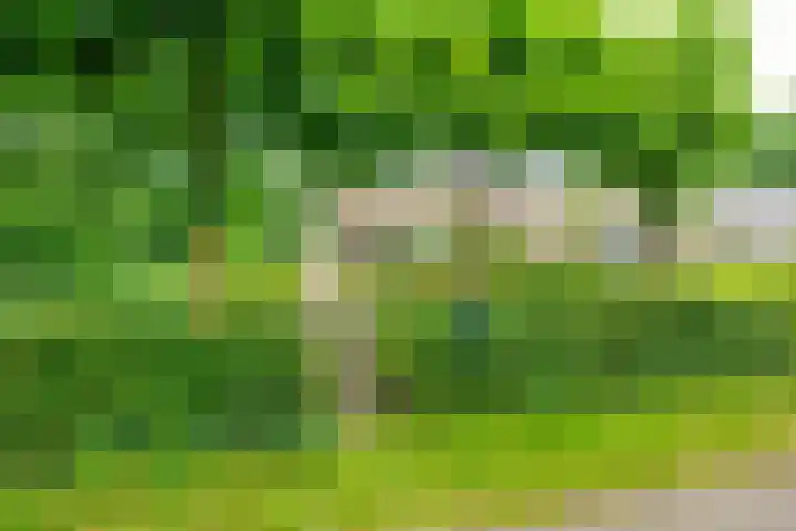 Remise 12 Doorn thumbnail 7