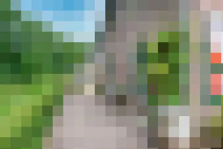 Remise 12 Doorn thumbnail 70