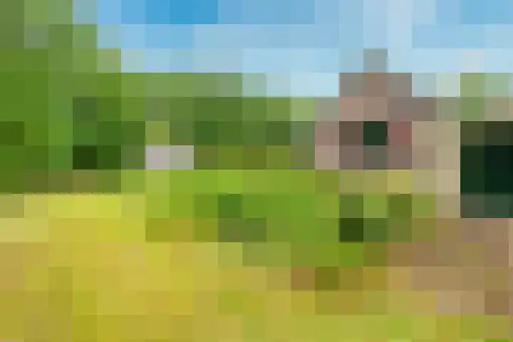 Remise 12 Doorn thumbnail 71