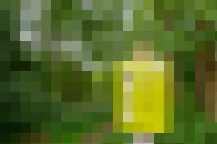 Remise 12 Doorn thumbnail 72