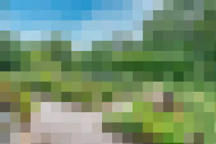 Remise 12 Doorn thumbnail 74