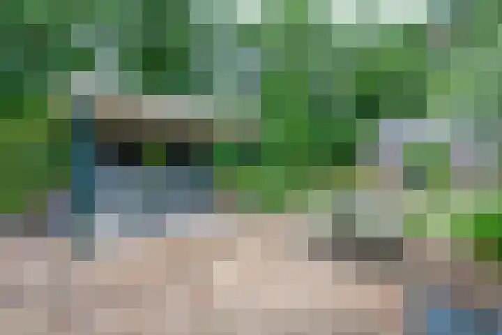 Remise 12 Doorn thumbnail 75