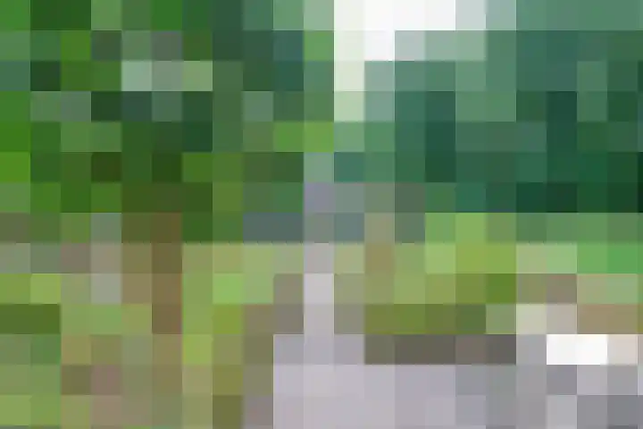 Remise 12 Doorn thumbnail 77