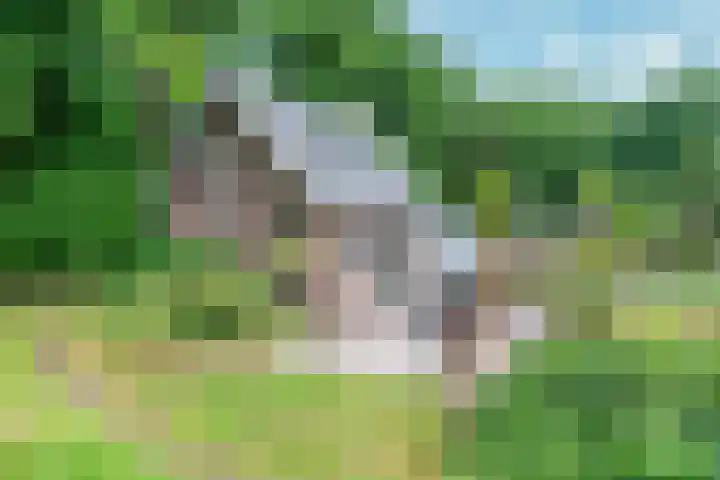 Remise 12 Doorn thumbnail 79